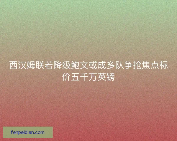 西汉姆联若降级鲍文或成多队争抢焦点标价五千万英镑