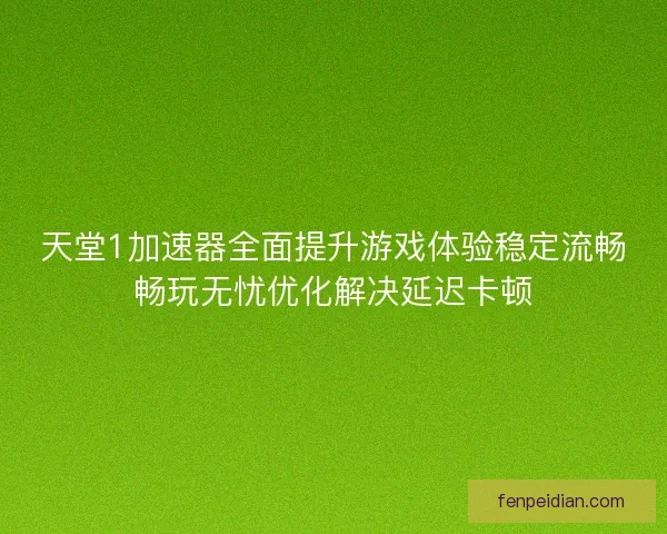 天堂1加速器全面提升游戏体验稳定流畅畅玩无忧优化解决延迟卡顿