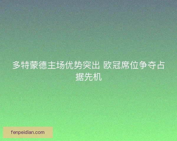 多特蒙德主场优势突出 欧冠席位争夺占据先机