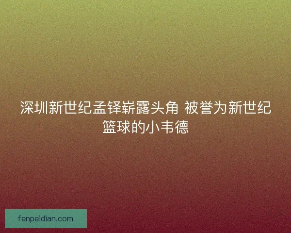 深圳新世纪孟铎崭露头角 被誉为新世纪篮球的小韦德 深圳新世纪孟铎崭露头角 被誉为新世纪篮球的小韦德